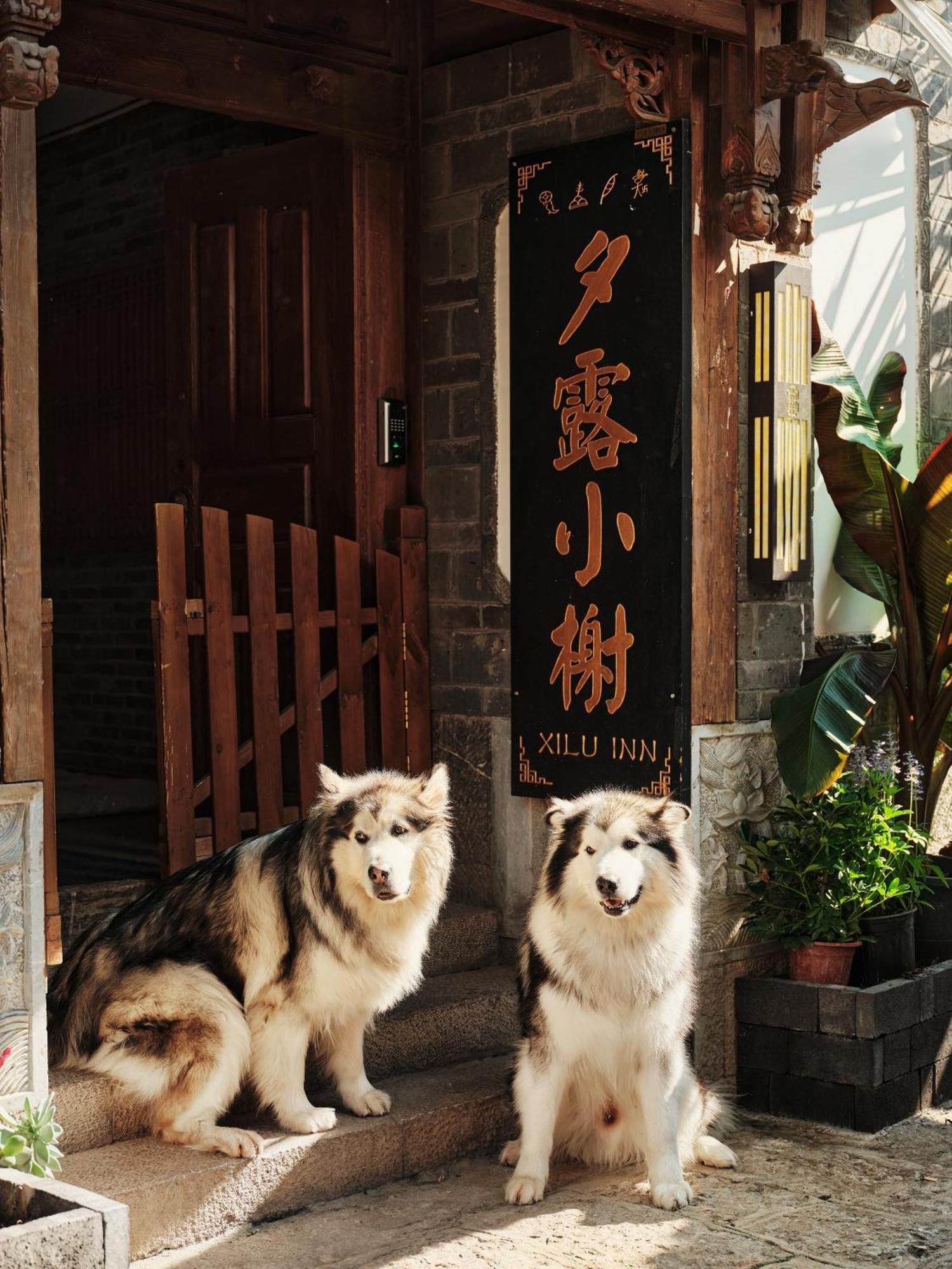 Xilu Xiaoxie Inn Old Town Lijiang Lijiang  Exterior foto