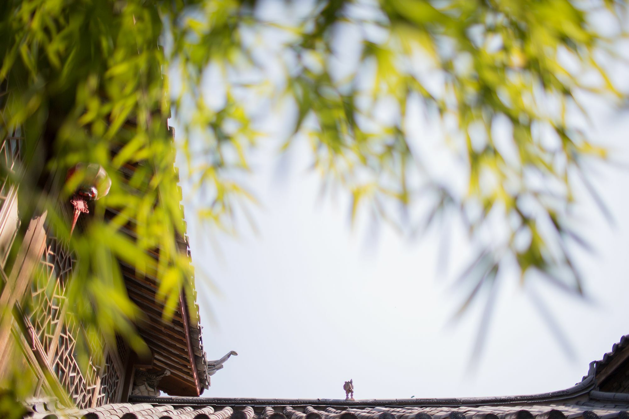 Xilu Xiaoxie Inn Old Town Lijiang Lijiang  Exterior foto